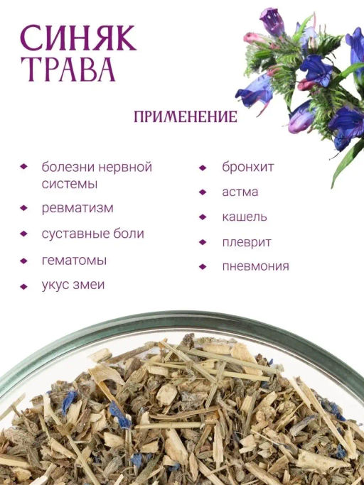 Синяк трава - Травы горного крыма фото 3