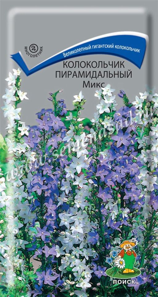 Колокольчик пирамидальный Микс (ЦВ) ("М) 0,1гр.
