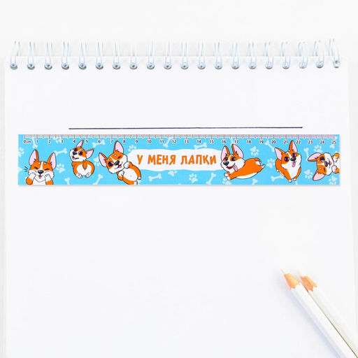 Цена за 10 шт. Линейка-закладка, картон, 25 см «Корги»