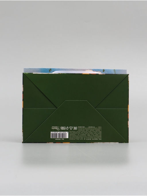 Цена за 2 шт. Пакет подарочный с широким дном «Цветы» 20 × 14 × 13,2 см