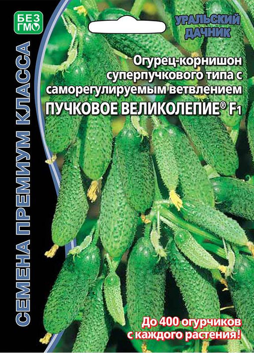 Огурец ПУЧКОВОЕ ВЕЛИКОЛЕПИЕ F1 Уникальный!