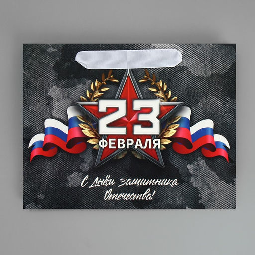 Цена за 2 шт. Пакет подарочный ламинированный, упаковка, 23 февраля, MS 23?18?10 см