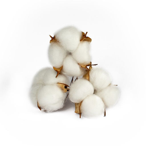 Декор для творчества «Сухие цветы хлопка» на проволоке, 3 шт.