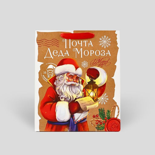 Цена за 2 шт. Пакет подарочный новогодний ламинированный Почта Деда Мороза, M 26?30?9 см