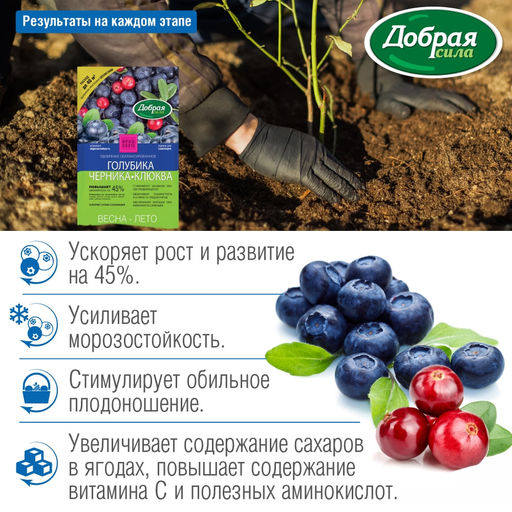 Компл. мин. удобр. "Добрая сила" Голубика-Черника-Клюква, пак.2кг