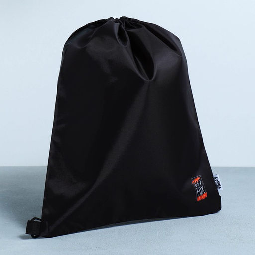 Сумка для обуви, болоньевый материал, цвет чёрный, 41х31 см - Artfox study фото 2