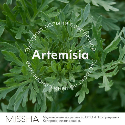 MISSHA Artemisia Calming Pack Foam Cleanser Успокаивающая пенка-маска для умывания с экстрактом полыни 150 мл  фото 5