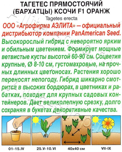 Бархатцы Ксочи F1 оранж 5шт. (Аэлита)