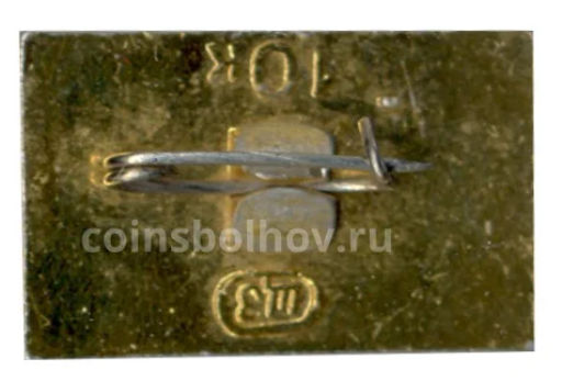 Значок Кузьминки XIX век