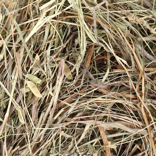 Сено луговое Пижон лепестки ромашки, для грызунов, 20 л, 500 г  фото 4