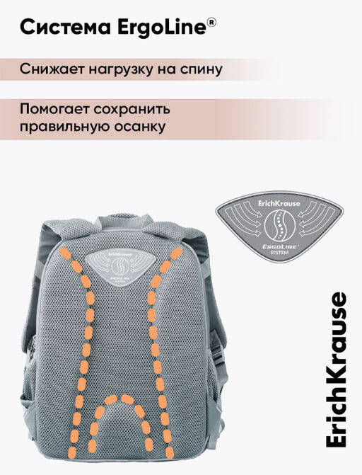 Цена за 1 шт. Ученический рюкзак ErichKrause ErgoLine® 15L Wild Cat  фото 7