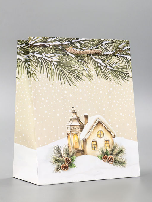 Цена за 2 шт. Пакет подарочный новогодний ламинированный, «Новогодний дом», 18×10×22.3 см