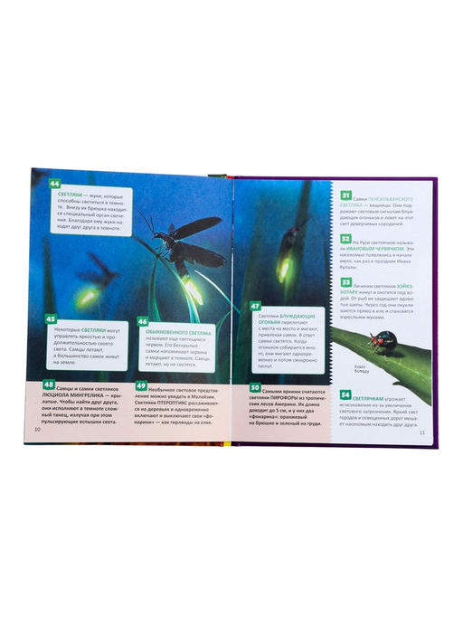 Энциклопедия российского школьника «Насекомые»