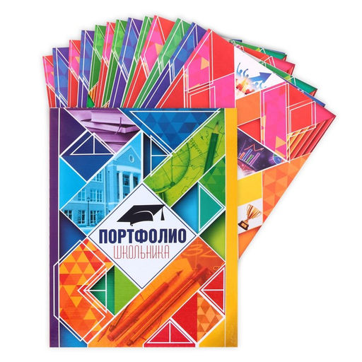 Папка школьная на кольцах «Портфолио школьника», 13 листов-разделителей, 24.5×32 см.