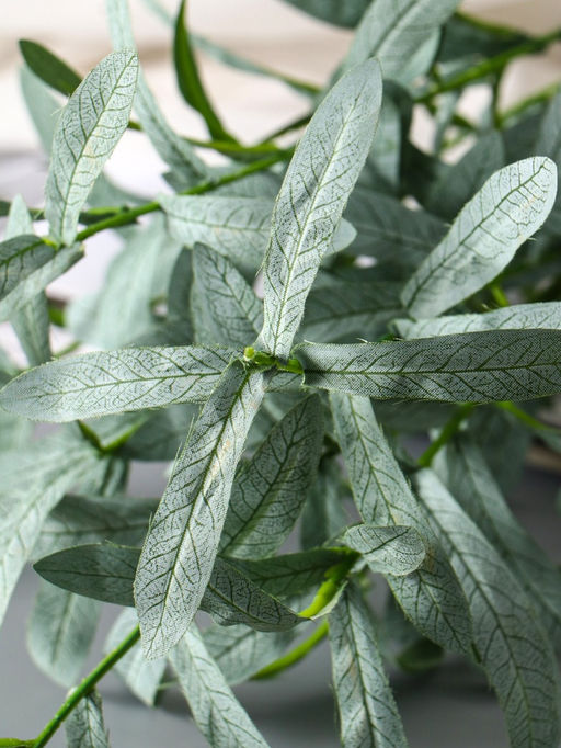 Цветы искусственные «Эстрагон», h=85 см, зелёные