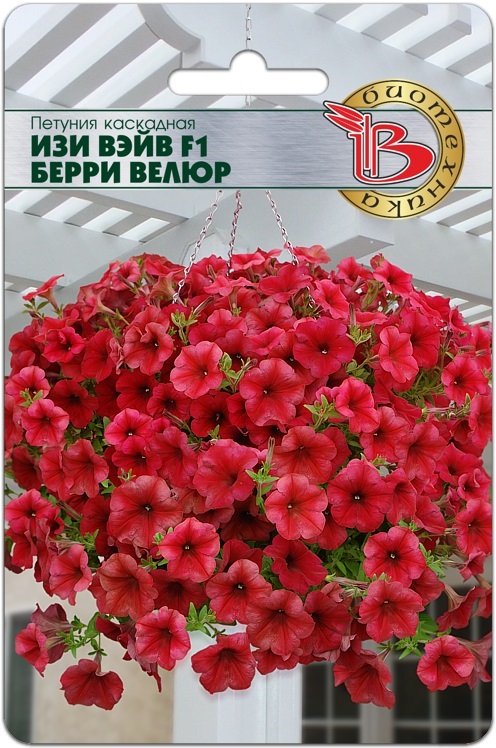 Петуния каскадная Изи Вэйв F1 Бургунди Велюр - Биотехника фото 4