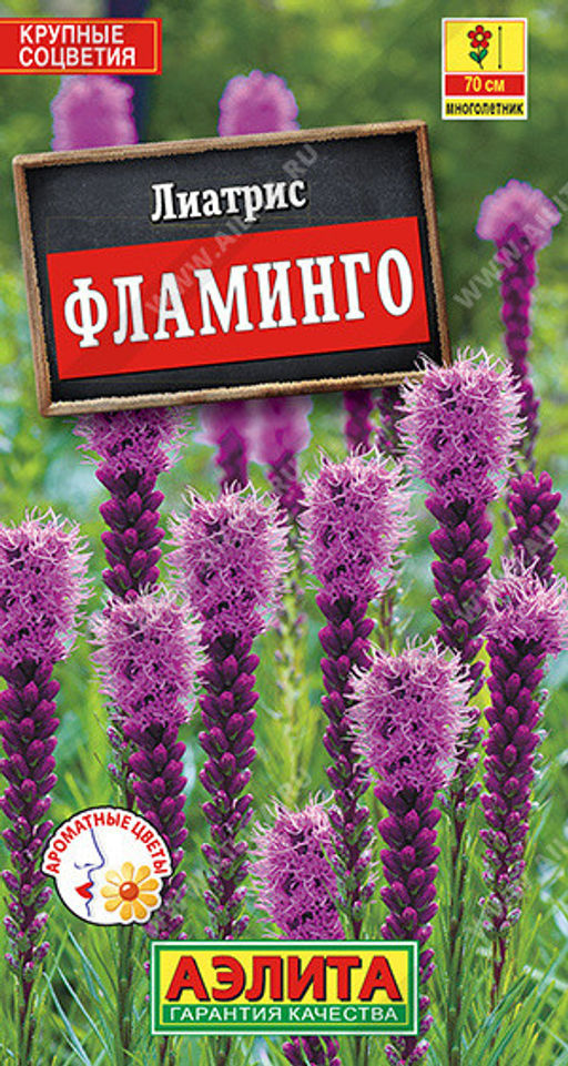 1563A Лиатрис Фламинго 0,1гр