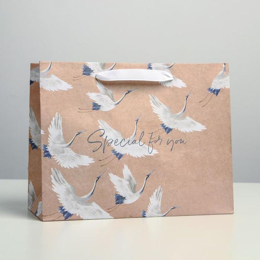Пакет подарочный крафтовый, упаковка, «Special for you», MS 23 х 18 х 10 см
