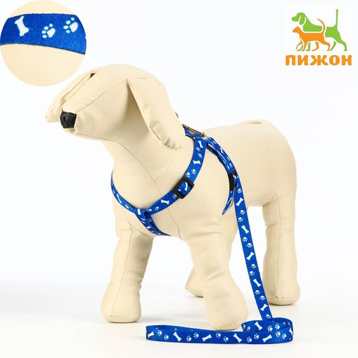 Комплект капроновый Косточки и лапки, поводок 120 х 1,5 см, ОГ 30-44 см, синий