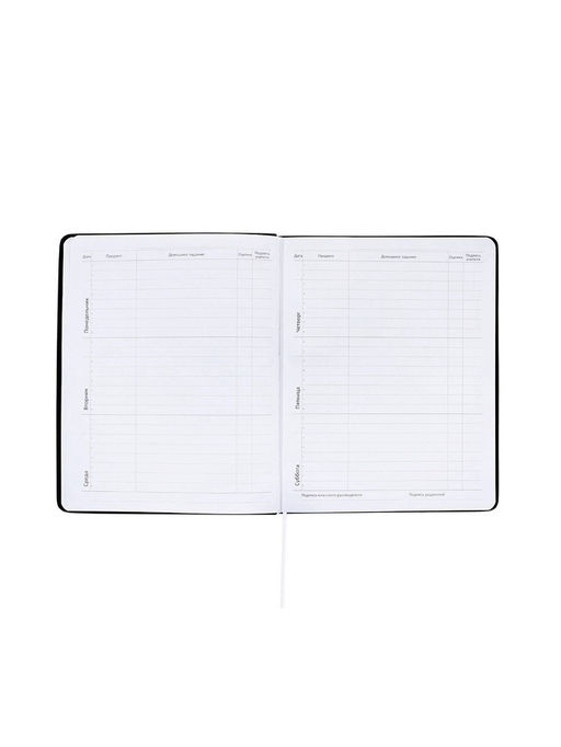 Дневник школьный 1-11 класс, deVENTE. Realistic, искусственная кожа, шелкография