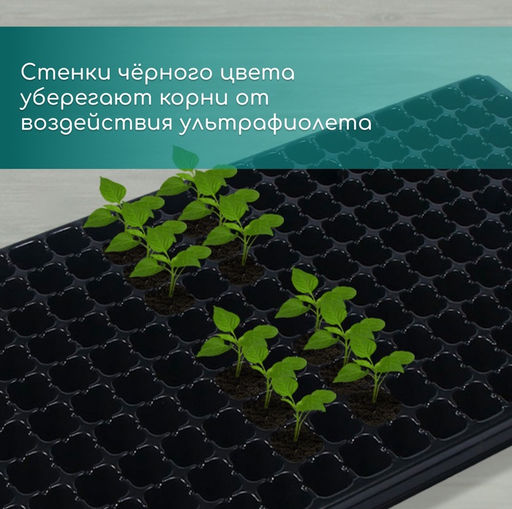 Цена за 3 шт. Кассета для выращивания рассады, на 200 ячеек, по 7 мл, из пластика, чёрная, 55 × 28 × 4 см, Greengo