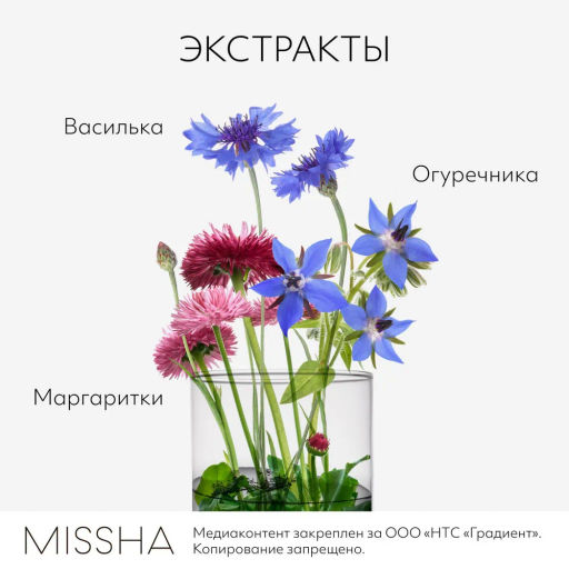 MISSHA Perfect Lip&Eye Make-up Remover Двухфазное средство для снятия макияжа с глаз и губ 155 мл