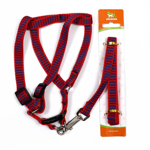 Комплект амуниции рельефный, поводок 120 х 1,5 см, ОГ 36-49 см, красно-синий - Пижон фото 7