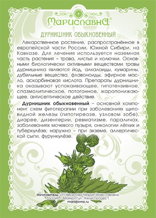 2 шт. Дурнишник обыкновенный (трава) - Мариславна фото 2