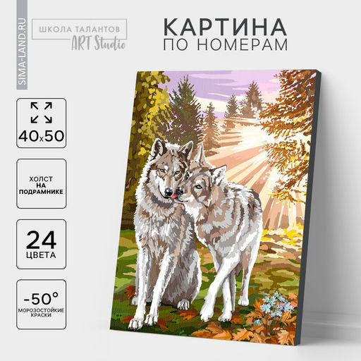Картина по номерам на холсте с подрамником «Волки», 40×50 см
