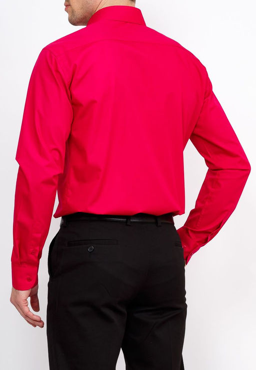 Сорочка мужская длинный рукав GREG 630/139/CYCL/Z  фото 2