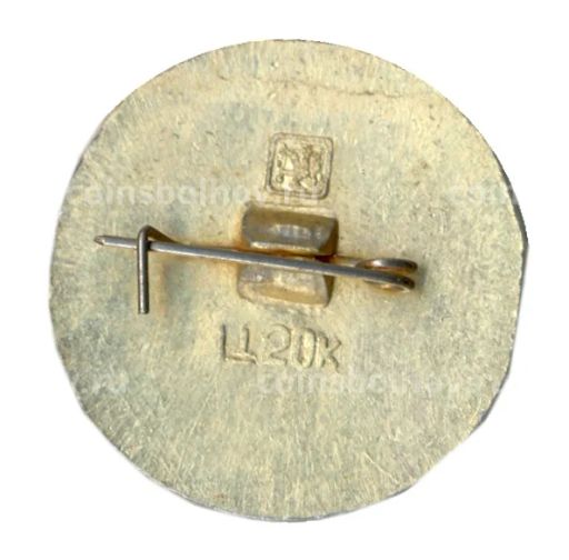 Значок Золотое кольцо Кинешма