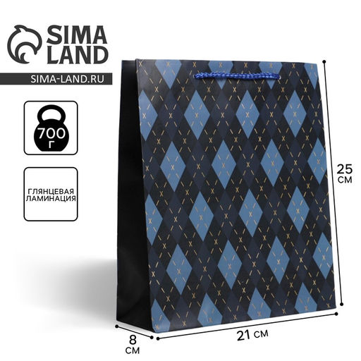 Цена за 2 шт. Пакет подарочный ламинированный, упаковка, «Клетка», ML 21 х 25 х 8 см