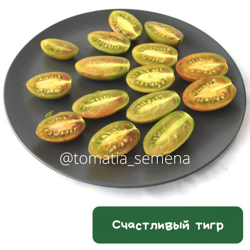 Cчастливый тигр