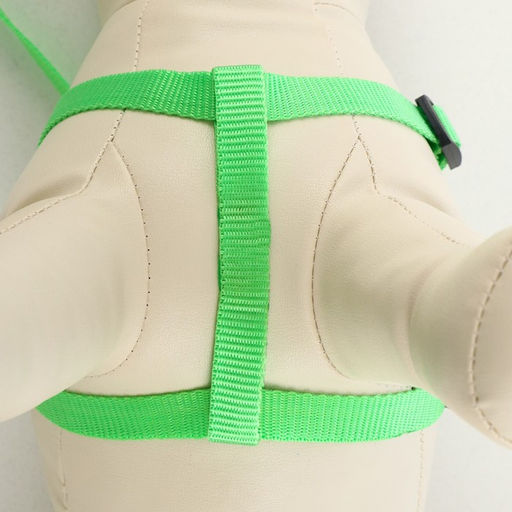 Комплект Базис, поводок 120 х 1,5 см, ОГ 32-46 см, зелёный - Пижон фото 3