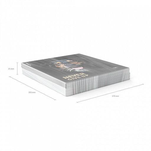 Цена за 5 шт. Тетрадь общая ученическая ErichKrause Собаки, 96 листов, клетка, матовая ламинация_MIX-PACK  фото 11