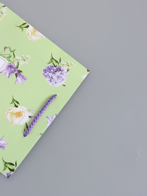 Пакет подарочный ламинированный «Нежный штрих», мятный с сиреневым, 18×22.3×10 см