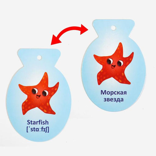 Карточки на кольце для изучения английского языка Морские обитатели, 3+ - Лас играс фото 4
