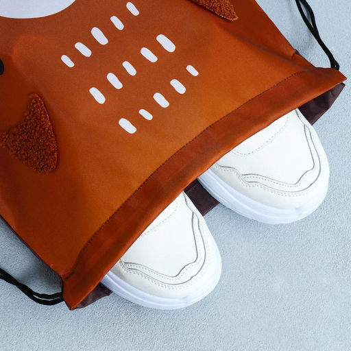 Мешок для обуви, Teddy Bear, (с дополнительными элементами) 41×31 см