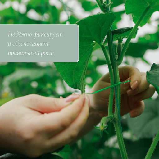 Проволока подвязочная, 20 м, зелёная, Greengo фото 3