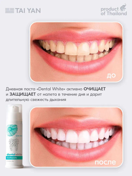 Зубная паста Dental white Tai Yan, 100 г TY-111-05
