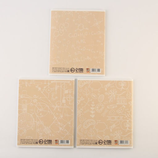 Тетради предметные, 48 л., А5, набор из 3 шт. КОТэ - Artfox study фото 8