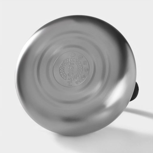 Чайник Magistro Glow, 3 л, со свистком, ручка soft-touch, индукция, нержавеющая сталь, серебристый