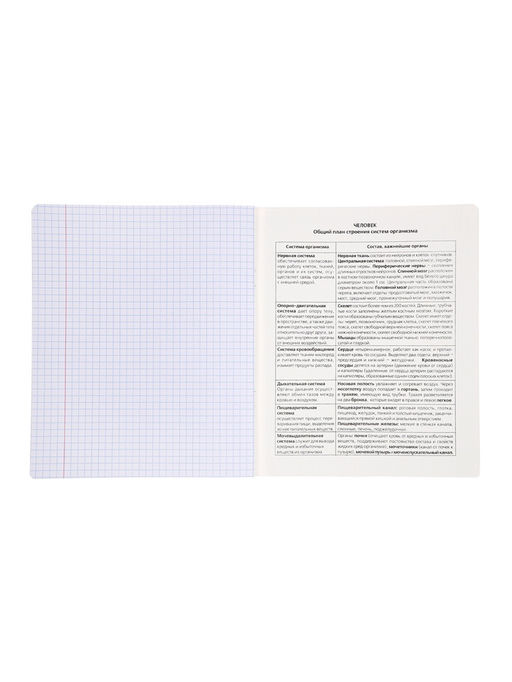 Комплект 12 предметных тетрадей «Градиент», 48 листов, справочная информация, 60 г