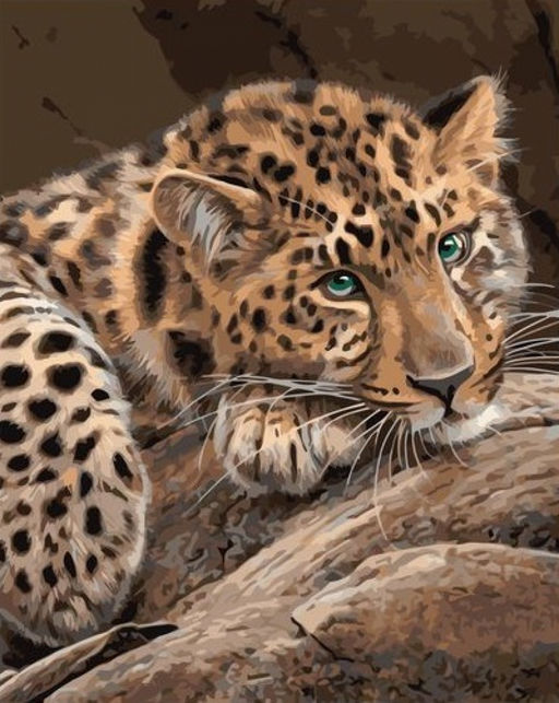 Картина по номерам на холсте и подрамнике 40х50 см