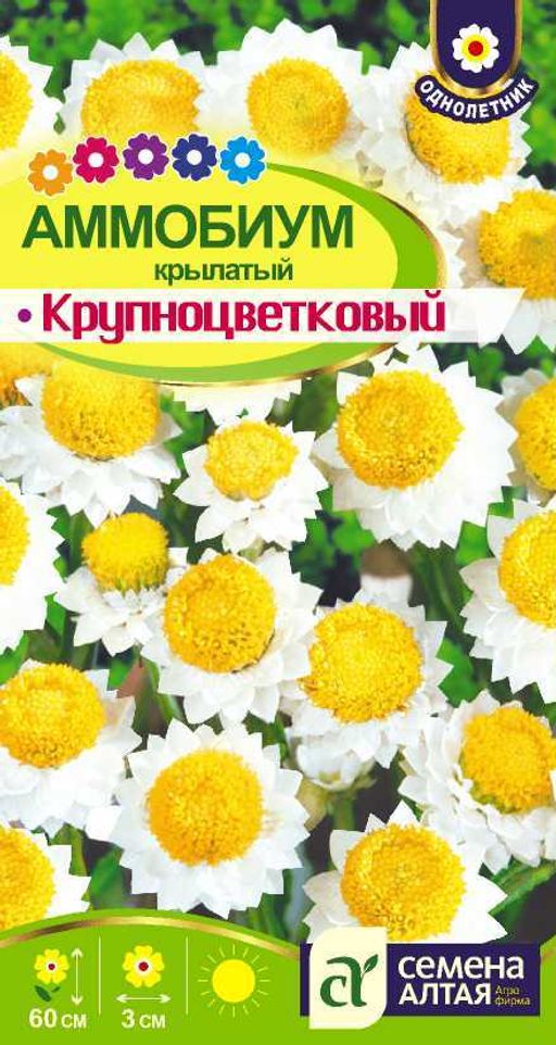 Аммобиум Крупноцветковый крылатый/Сем Алт/цп 0,2 гр.