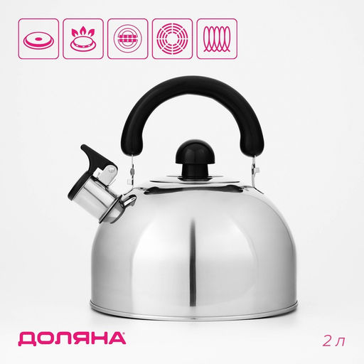 Чайник Доляна «Чёрная ночь», 2 л, со свистком, индукция, нержавеющая сталь, хромированный
