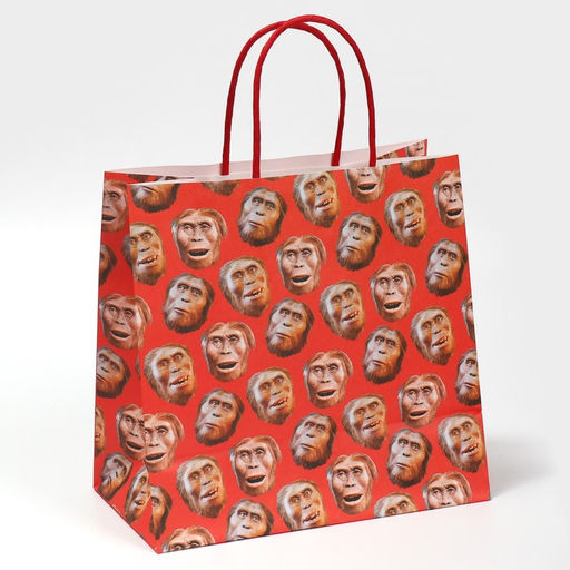 Цена за 2 шт. Пакет подарочный, упаковка, Обезьяна, 22?22?11 см