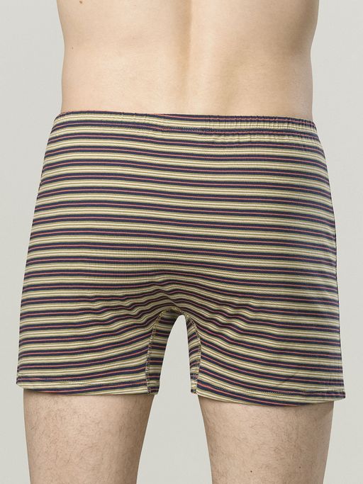 PELICAN 2шт. в упаковке MUB6896(2) Трусы мужские