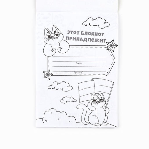 Цена за 3 шт. Блокнот раскраска А6, 12 л. Енот. 23 февраля