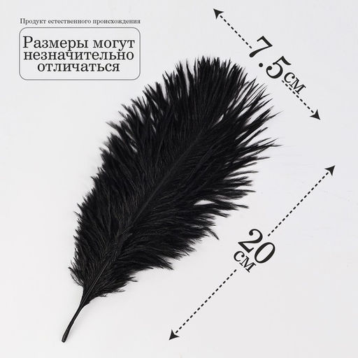 Перо для декора 1 шт., размер — 20.5×7.5 см, чёрное